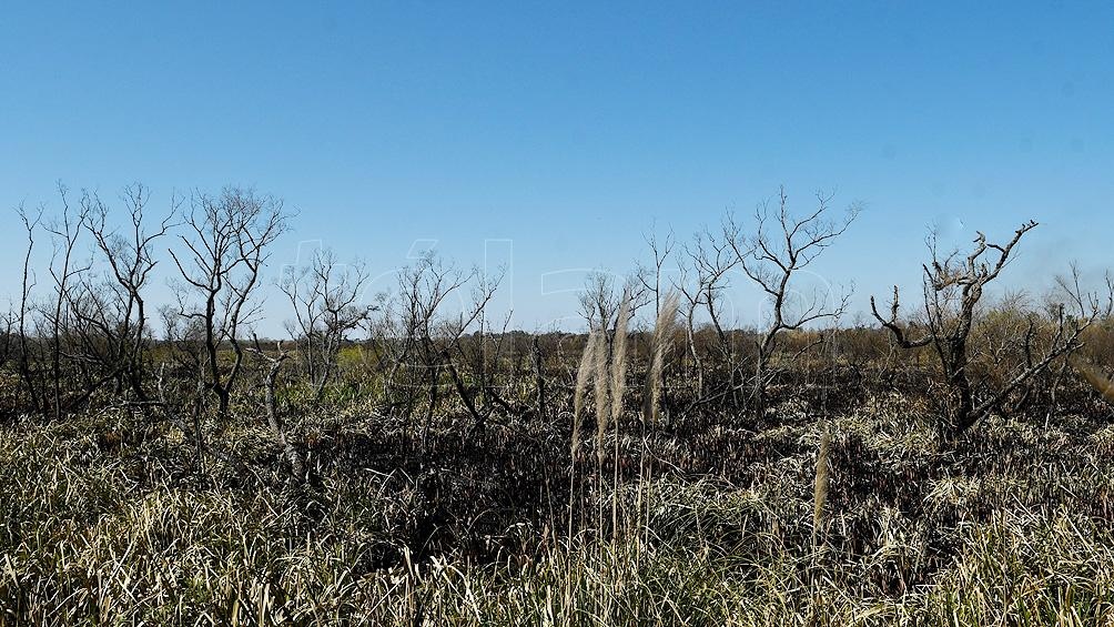 un helicóptero con helibalde de la Policía Federal Argentina colabora en el control del fuego. un helicóptero con helibalde de la Policía Federal Argentina colabora en el control del fuego.