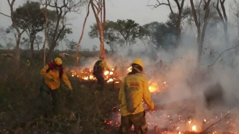 Imagen de archivo: incendio en la selva boliviana. Imagen de archivo: incendio en la selva boliviana.