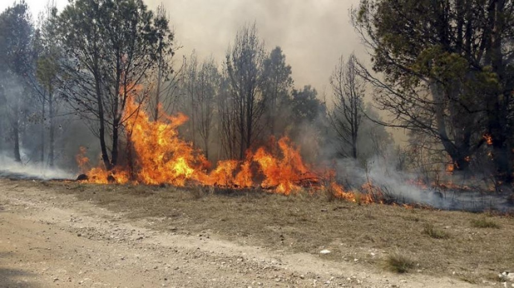 No cesan los incendios en Córdoba No cesan los incendios en Córdoba